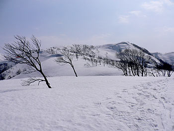 焼山付近の稜線の画像