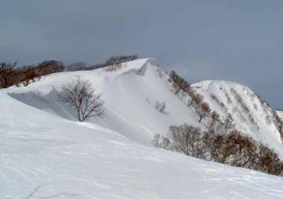 写真:三田原山山頂へ伸びる頂上稜線