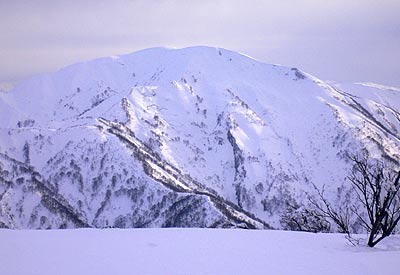 初雪山の画像