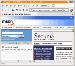 フレーム詐称に引っかかった Mozilla Firefox 0.8 のスクリーンキャプチャの縮小画像