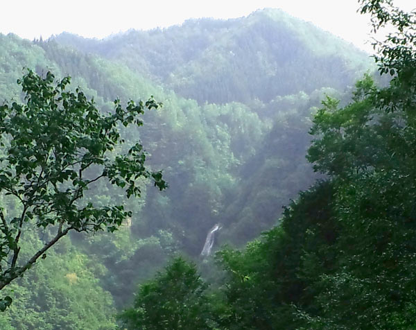 写真：林道から箕島大滝を臨む
